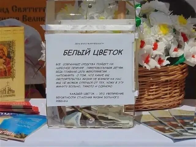 День благотворительности белый цветок. День благотворительности белый цветок