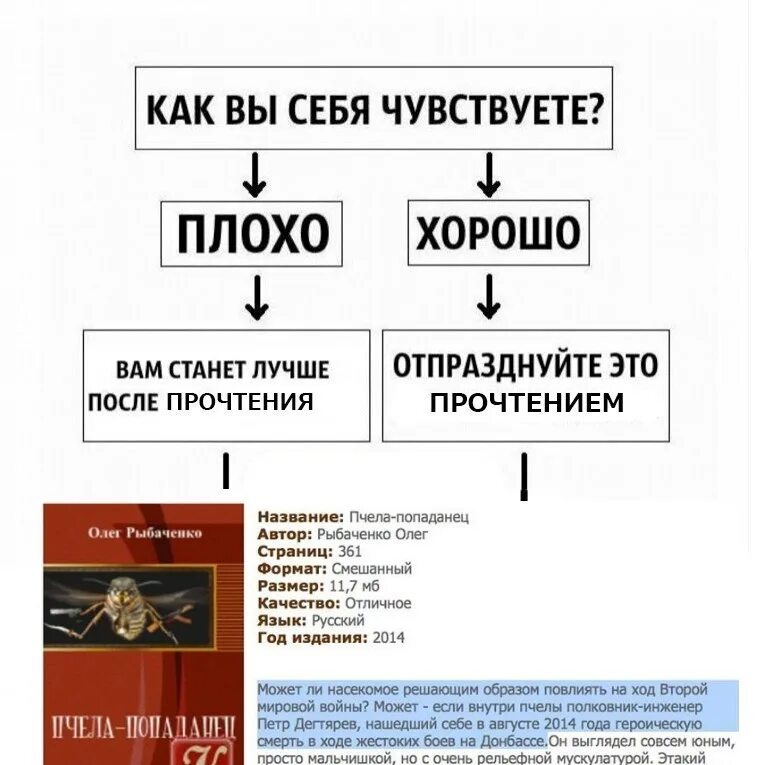 Пчела попаданец. Пчела попаданец с донбасса. оса попаданец.