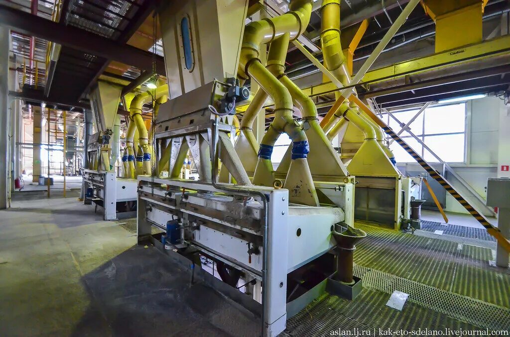 Масло подсолнечное производители. Маслоэкстракционный завод подсолнечник. Завод растительных масел. Завод подсолнечного масла. Переработка растительного масла.