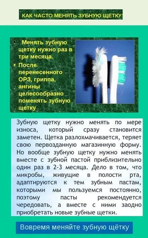 Как заменить зубную щетку Почему и как часто надо менять зубную щетку взрослым и детям стоматология Нури