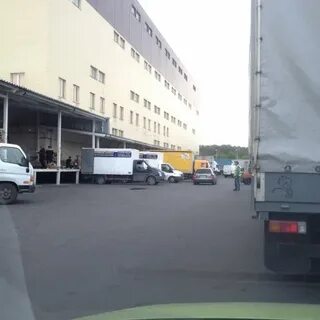 Деловые линии октябрьский