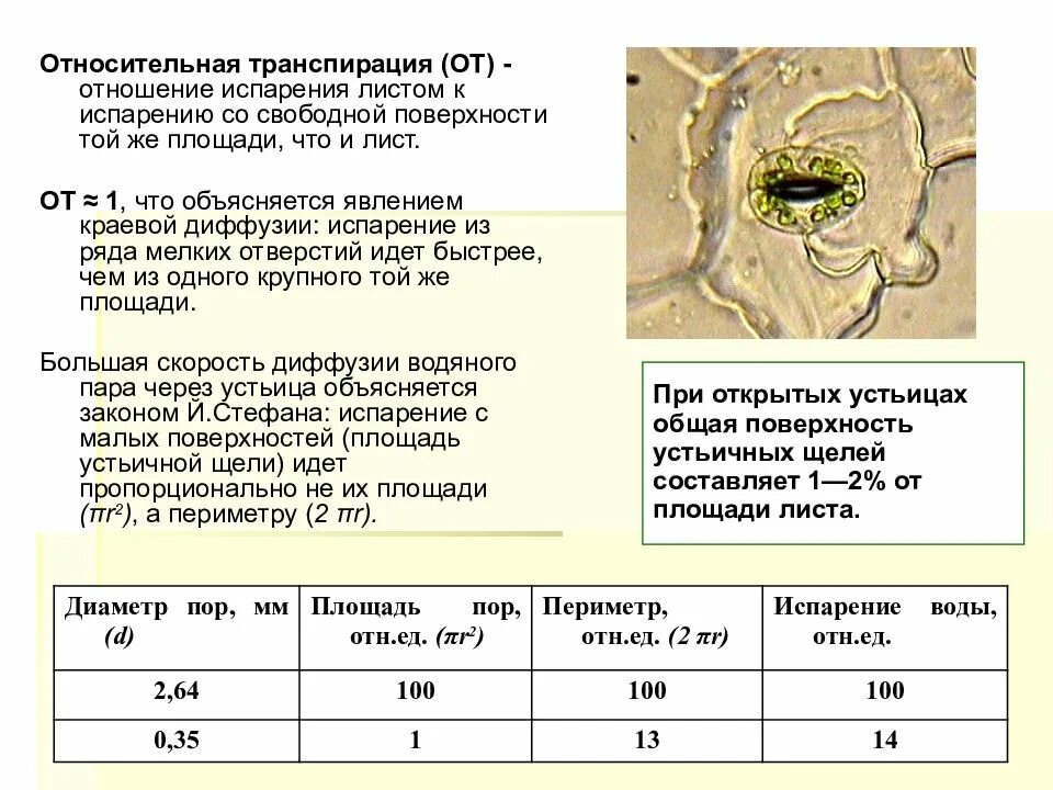 Интенсивность транспирации листьев