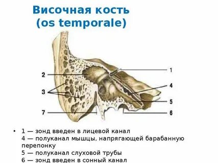 Канал кости