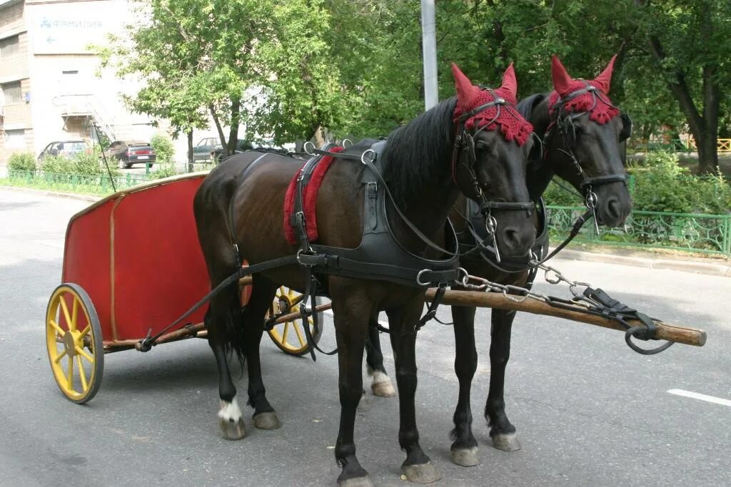 Упряжь постромочно Дышловая. Упряжь Пароконная упряжь. Пароконная запряжка. Одноконная русская дуговая упряжь. Хвост телега