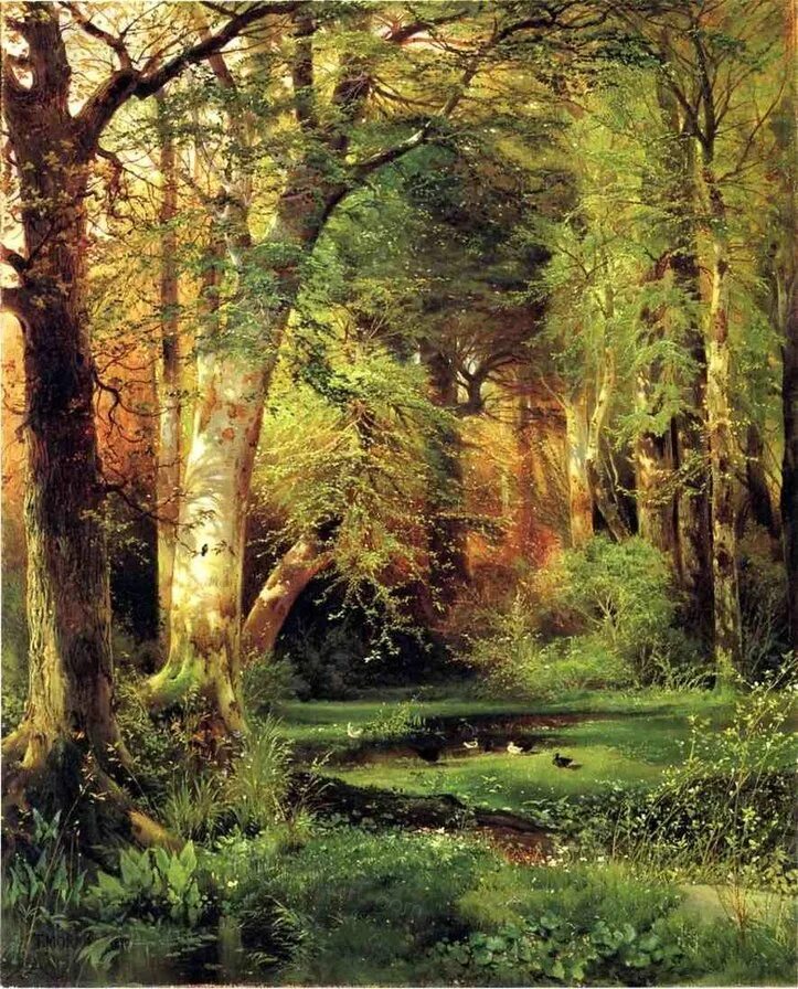 Лесов художник картины. Томас Моран Forest Scene. Thomas Moran 1870. Голден кайт лес. Голден кайт Шишкин.