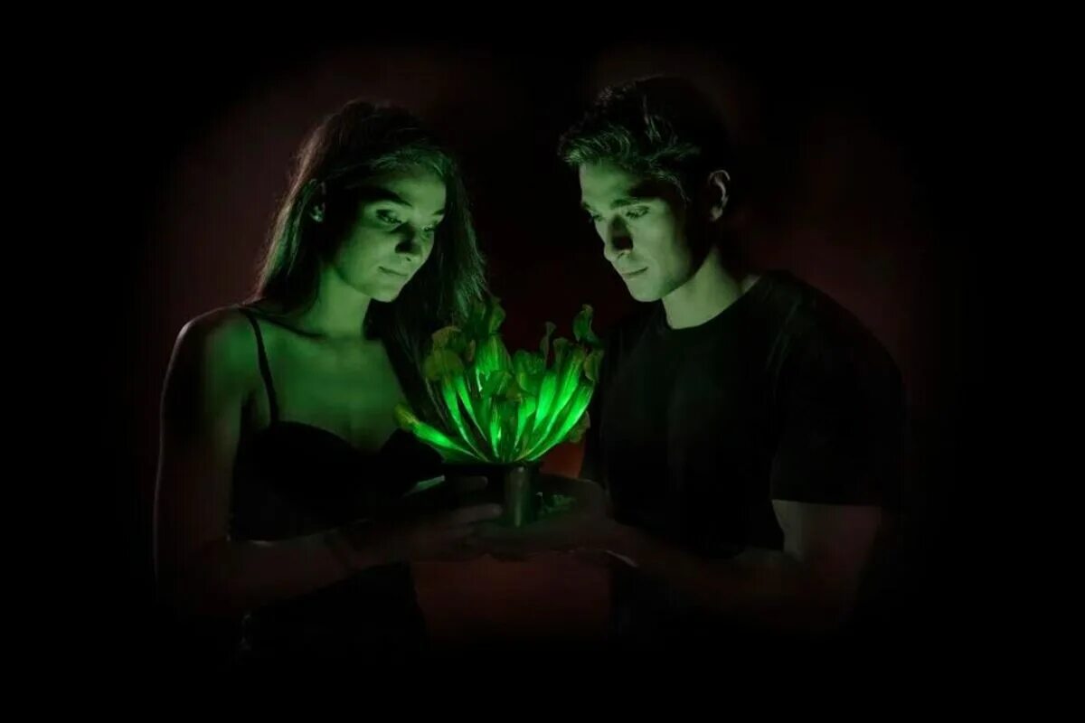 Живая и неживая природа связаны между собой. Морфинг анимация. Приложение для создания живых картинок. Проблемы и предложения. Предложения про живой уголок в школе.