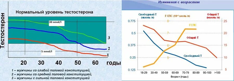 Уровень тестостерона у мужчины после 40