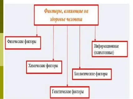 Механизмы здоровья