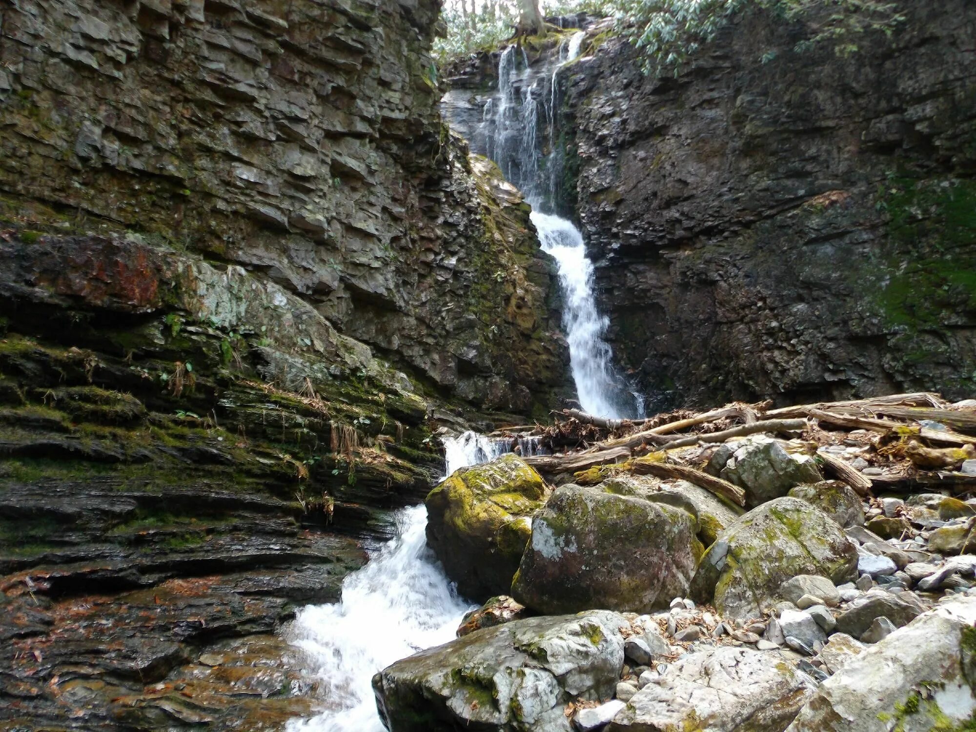Rock creek (potomac river tributary). Амфитеатр в лесу. Парк рок крик. Каменный мост. Rock creek.