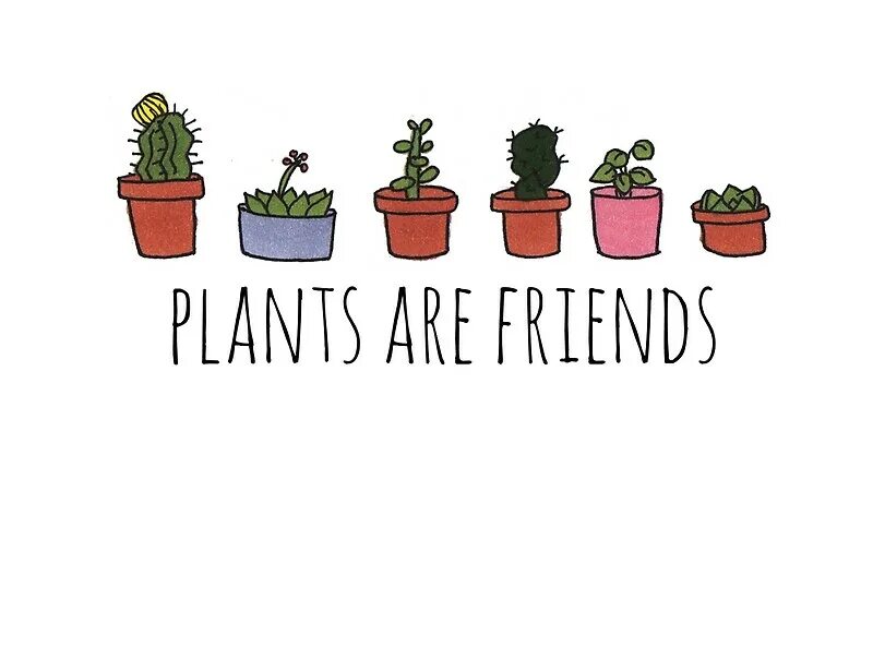 Plants and friends. Растения надпись. Красивая надпись Plants. Коллекция растений надпись. Постер Plants are friends.