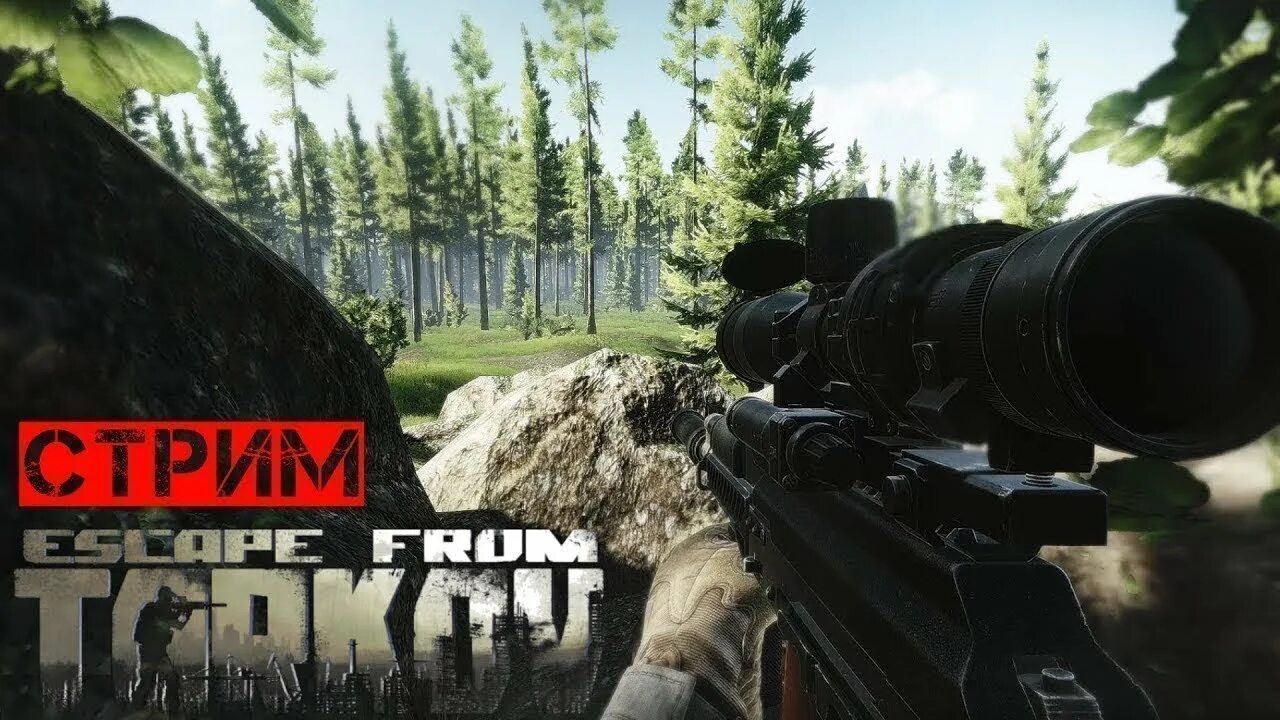 Побег из Таркова стрим. Tarkov дикий. Escape from Tarkov стрим. Побег из Таркова вайп.