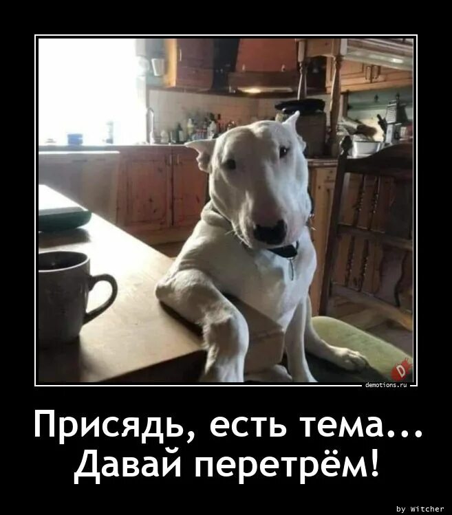 В теме про ест