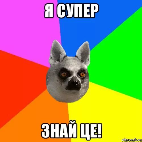 Знать це. Я супер. Мем це. Я И супер я. Я знаю что я супер.