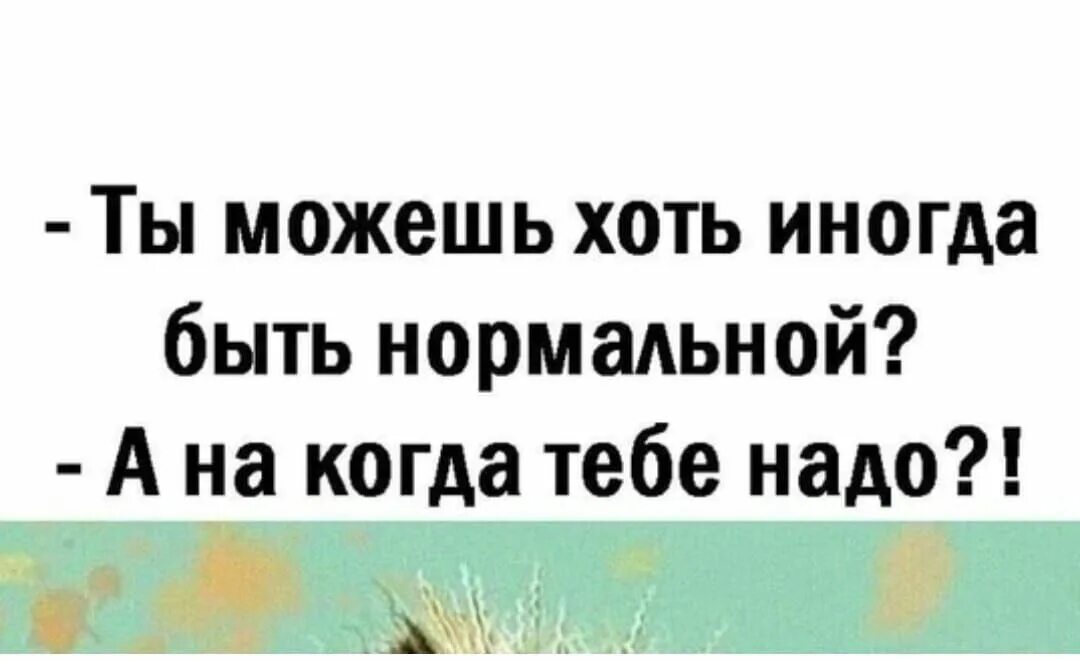 Телефон хоть есть. Ты можешь хоть иногда быть нормальной а на когда тебе надо. Ты можешь хоть иногда быть нормальной а на когда тебе надо картинка. Ленка ты можешь хоть иногда быть нормальной. Хоть иногда.