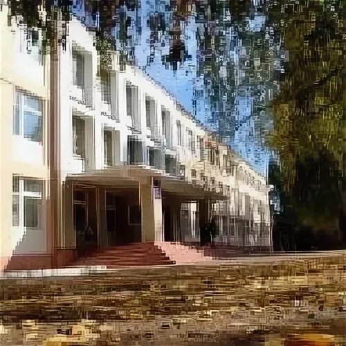 Гимназия 4 елабуга индивидуальный проект Елабуга гимназия