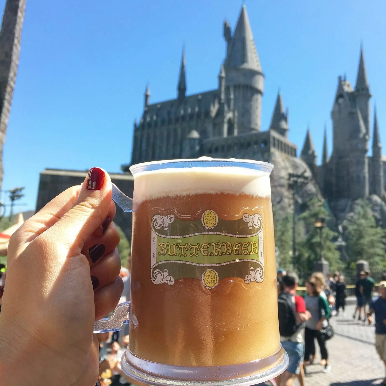 Wizarding world of harry