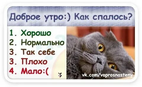 Что ответить на вопрос как спалось