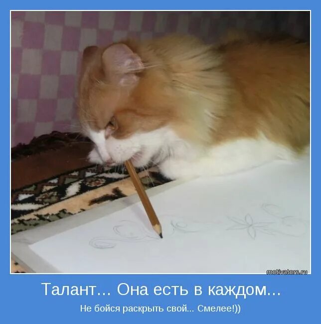 Талант есть в каждом. Что такое талант сочинение. Талант есть у всех сочинение. Талант есть в каждом. Сочинение на тему мой талант.