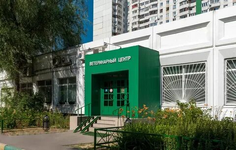 Время вет братиславская ул 32 отзывы