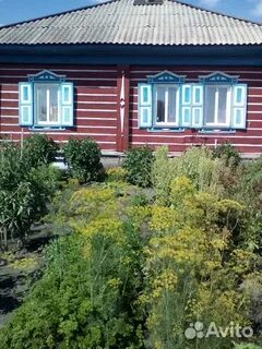 Погода шубенка алтайский край