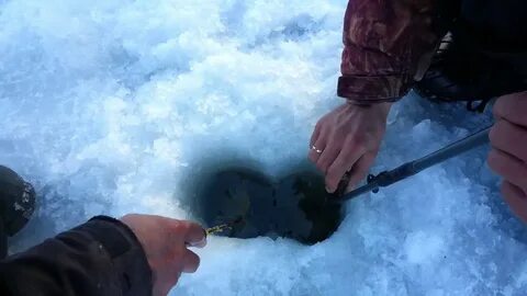 Поймала зиму
