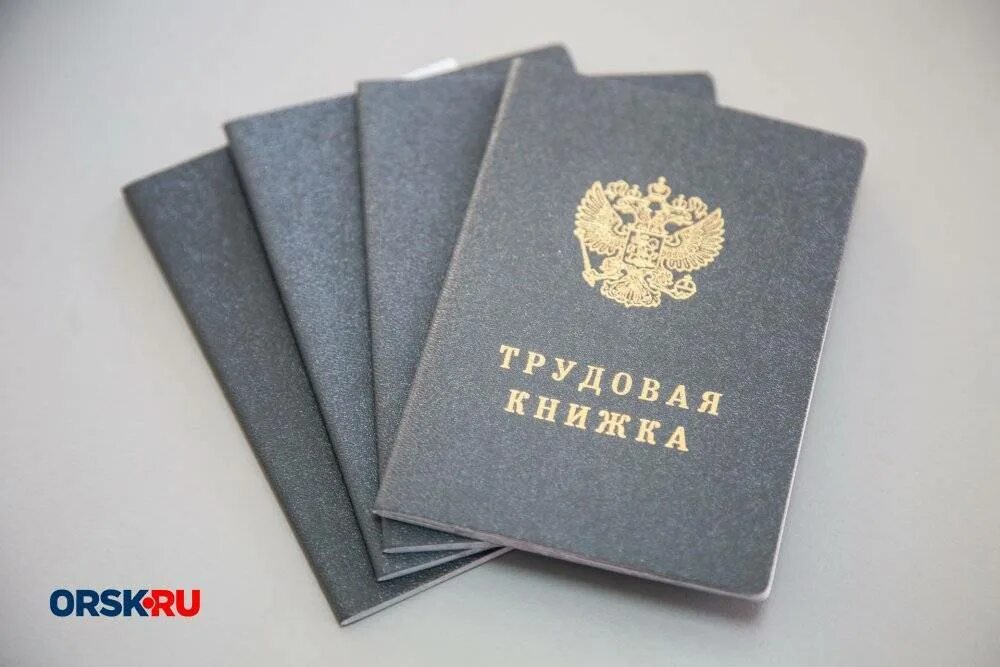 Несколько трудовых книжек. Трудовая книжка россия. Трудовая книжка в электронном виде. Трудовая книжка фото. Трудовая книжка.