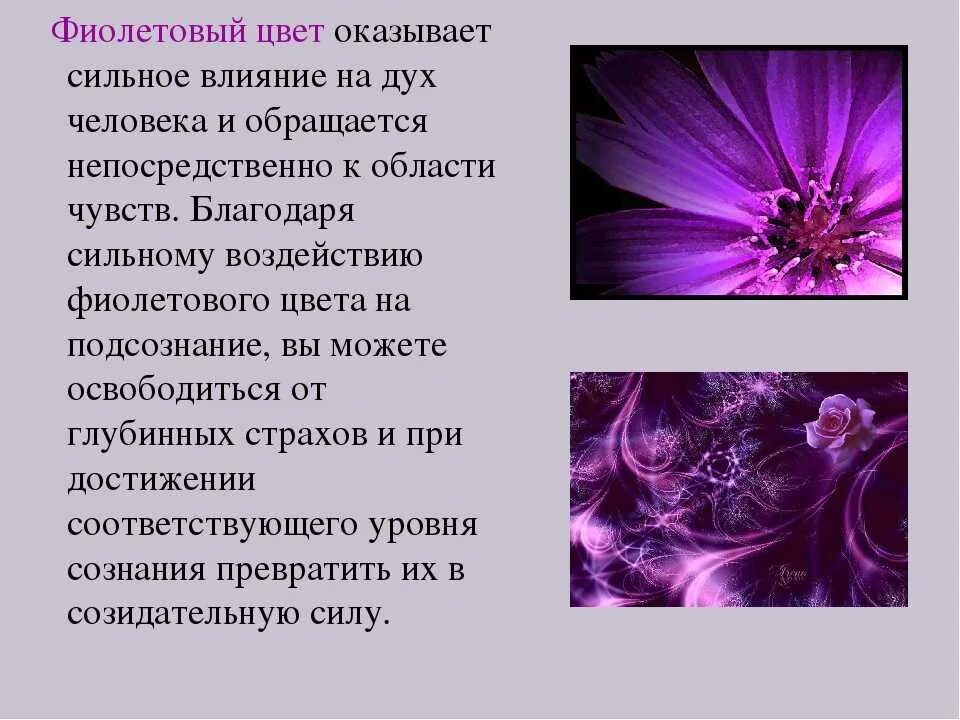 Если нравится фиолетовый цвет. Фиолетовый в психологии. Влияние фиолетового цвета на человека. Фиолетовый цвет в психологии. Сиреневый цвет в психологии.