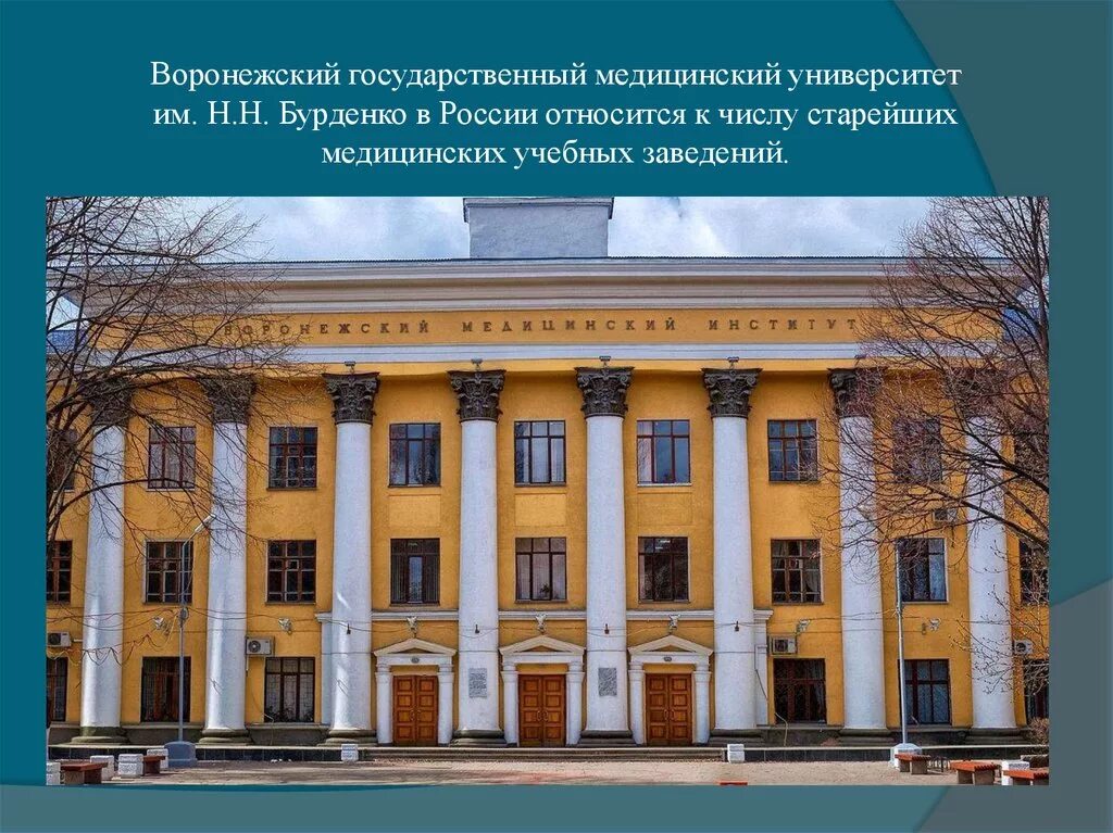 2 медицинский вуз. Воронежский государственный медицинский университет н. н. Бурденко.. Академия Бурденко Воронеж. Воронеж медицинский институт ВГУ. Город Воронеж институт Бурденко.