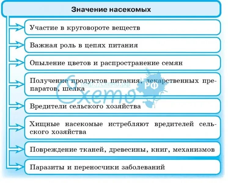 Значение насекомых положительные и отрицательные. Значение насекомых в природе и жизни человека таблица.