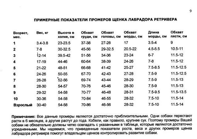 Щенок корм до какого возраста