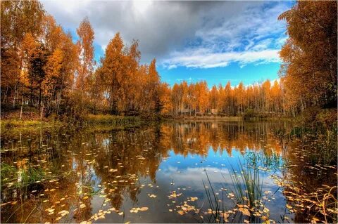 Осеннее лето