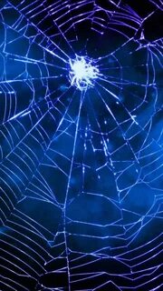 Blue web