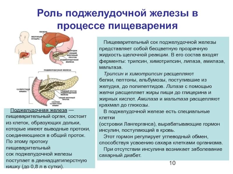 Как проверить поджелудочную