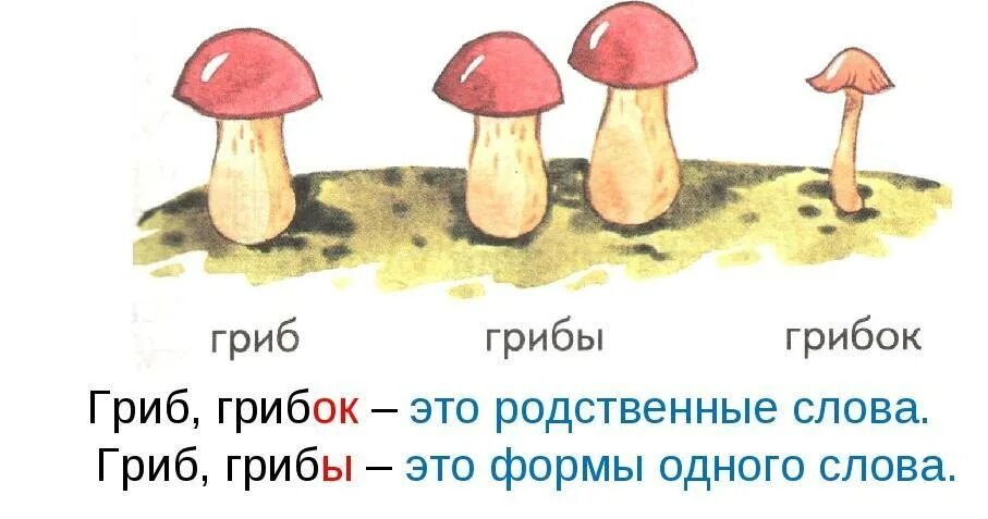 Форма слова гриб. Гриб однокоренные слова. Гриб грибок родственные слова. Формы родственных слов.