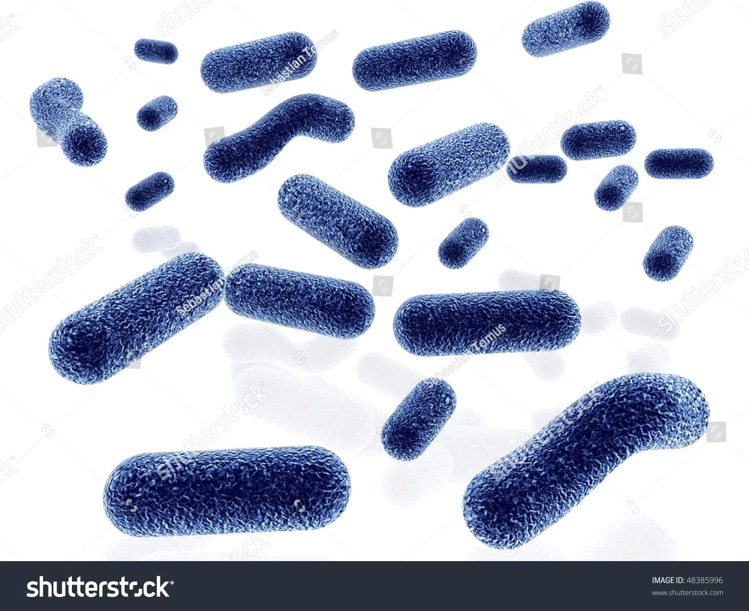 Бактерии выделяют метан. Бактерии голубые. Рамка микробы. Рамка бактерии на белом фоне. Синяя бактерия на ногте.