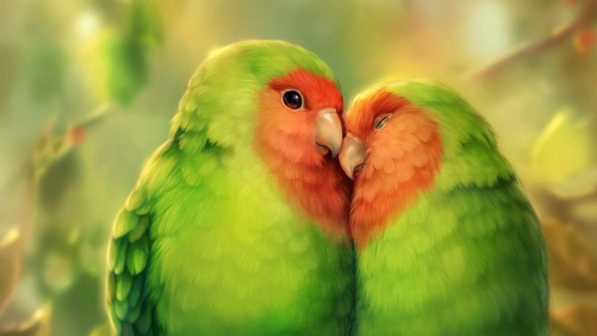 Неразлучники попугаи. Волнистые попугайчики неразлучники. Попугаи неразлучники Какаду. Попугаи неразлучники любовь.