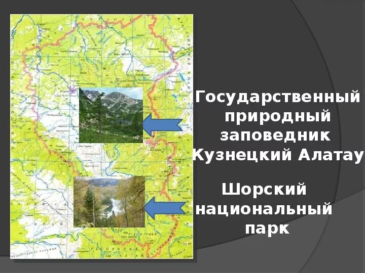 Где находится кузнецкий заповедник. Где находится кузнецкий заповедник