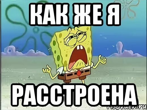 Злые вы ухожу от вас кот. Я расстроилась. Леонид аркадьевич якубович мем. Злые вы все уйду я от вас. Я расстроилась.
