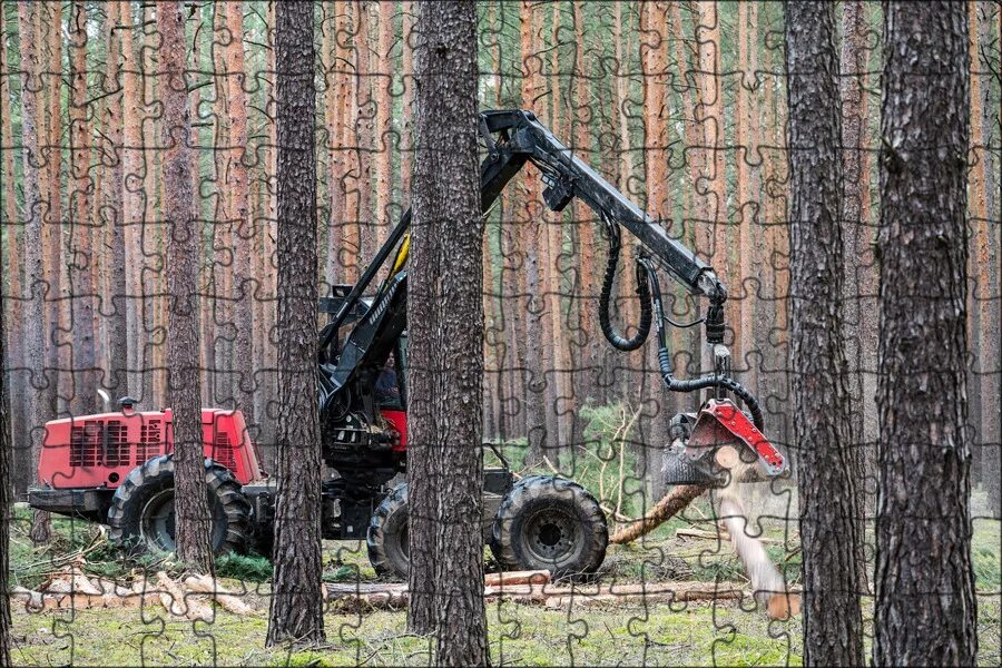 Лес вдоль дороги вид сбоку. Машины шкода в лесу. Автомобиль зима. Машина зима. Автомобиль едет в лесу.