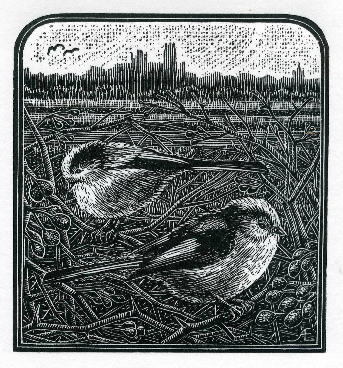 Линогравюра ковен. Эстамп ксилография. Гравюра ксилография. Линогравюра офорт. Линогравюра.