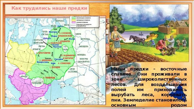 Ильменские сети сайт. Ильменские славяне занятия. Ильменские племена. Где жили Ильменские славяне. Как трудились славяне.