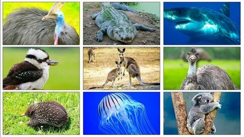 Australian name