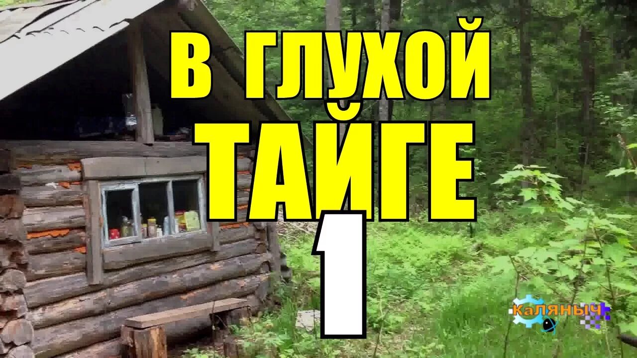 Тайга каляныч. Жизнь отшельников в глухой тайге. каляныч рассказы о тайге. 35 лет в лесу тайга 4 часть каляныч. каляныч работа в тайге.