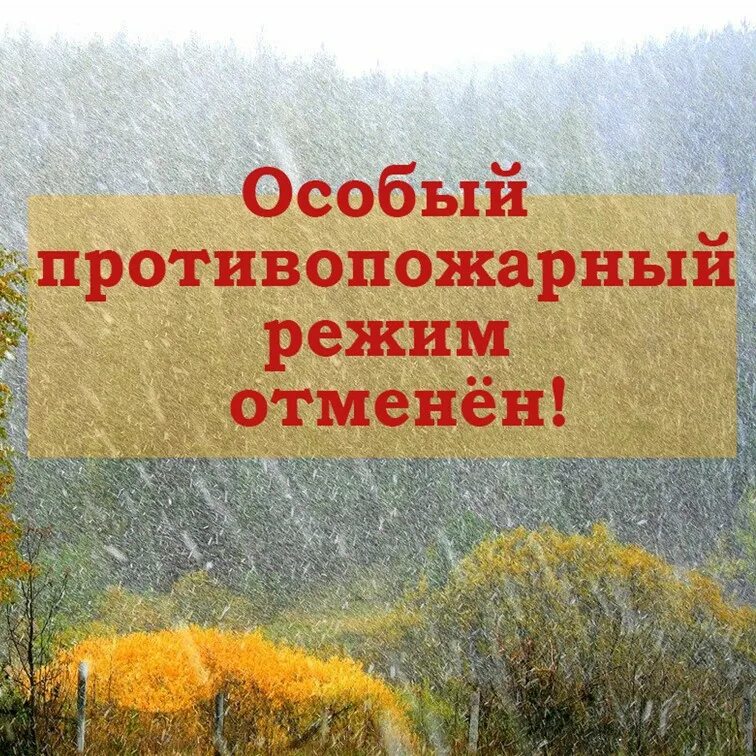 Особый противопожарный режим. Противопожарный режим воронеж. Особый противопожарный режим. Пожарный режим. Памятка особый противопожарный режим.