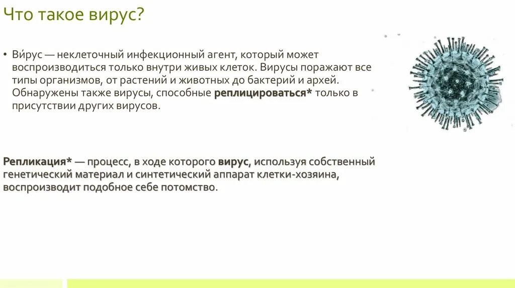 Почему вирусы выпадают из общего ряда. Вирус. Бирус. Вир. Инфекционные агенты.