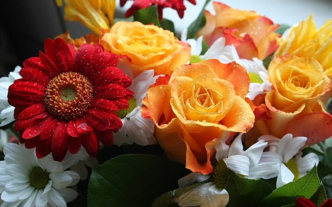 Pin su Flowers Coltivare i fiori, Fiori primaverili, Fiori