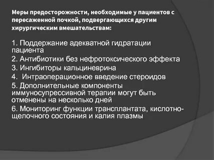 Почка мера
