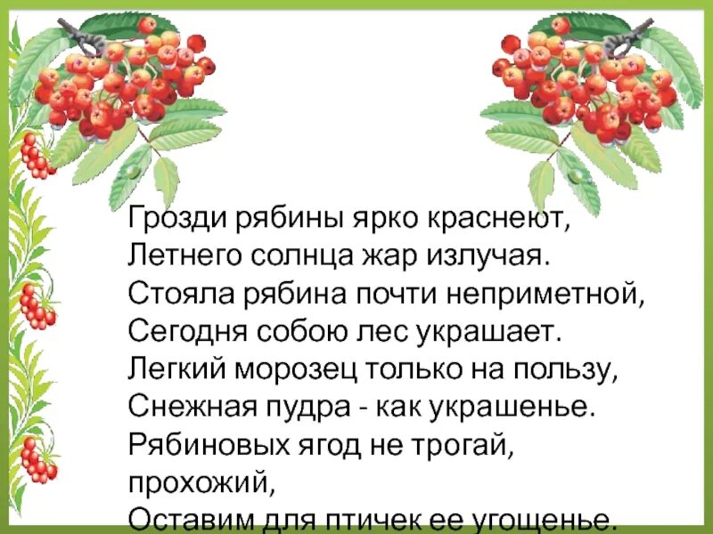 Калина рябина текст. Гроздья рябины стихи. рябины гроздья алые стихотворение. алые грозди рябины стихи. рябина текст.