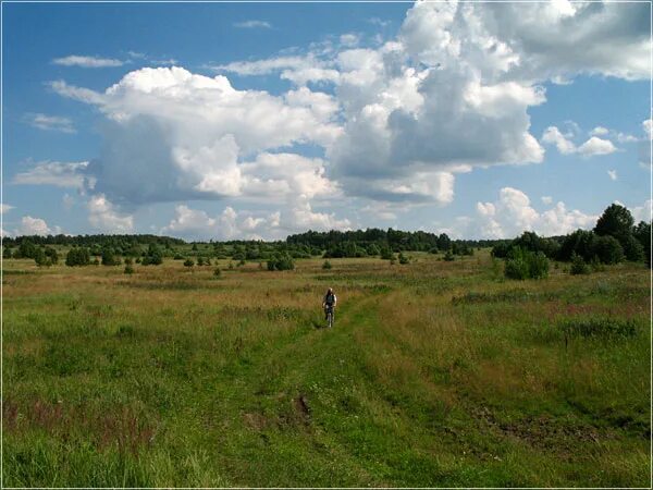 Каменки нижегородская область богородский район. Каменки (Богородский район). Село каменки Богородского района Нижегородской области. Каменки природа Богородский район. Каменки Богородский район коттеджный поселок.