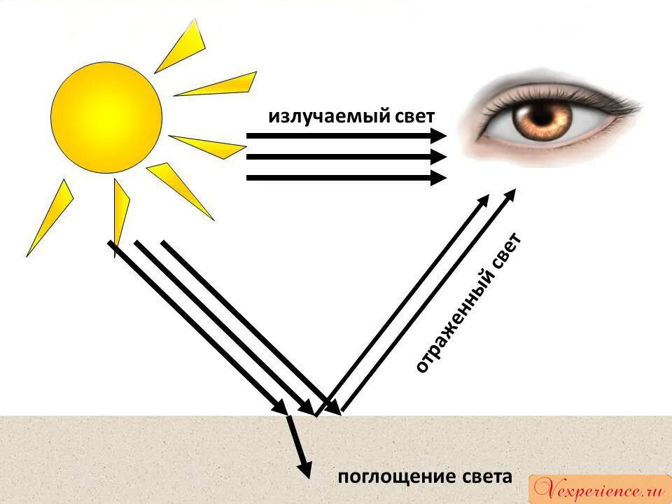 Как отражаются лучи. Свет. Поглощение света. Отражающий свет. Свет отражение света.